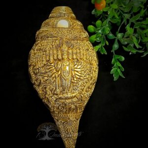 Brass Premium Quality Vishnu Shankh Virat Roop (Conch)